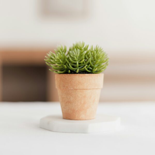 Artificial Mini Succulent